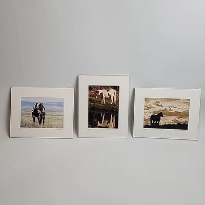Horse Photograph Lot of 3 Equestrian Caroline Christie Signed Matted - Image 1 of 4