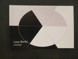 Lane Banks Untitled Dallas Ft Worth Int.  Airport Vintage Postcard - Picture 1 of 2