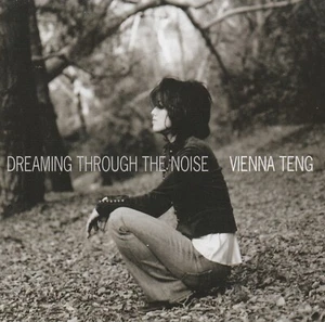 VIENNA TENG CD: "DREAMING THROUGH THE NOISE" 2006 - Bild 1 von 2