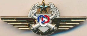 Observateur Pilote Qualifié Moniteur, A.L.A.T., Beraudy GS 77 (11177) - Imagen 1 de 2