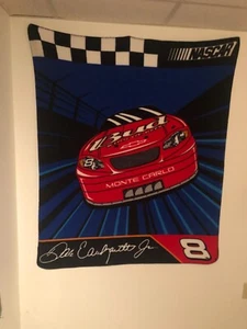 Dale Earnhardt Jr Throw Blanket Nascar #8 44x54 In Preowned - Picture 1 of 1