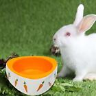 -Rabbit Feeder, Feeder, Feeder, Drinking Bowl, Feeder For Gerbils, Kittens,