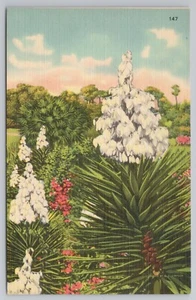 Postal Bayoneta Española en Flor de Yuca - Imagen 1 de 2