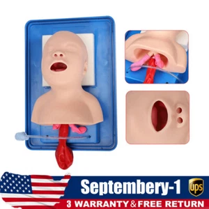 Labor Atemwege Intubation Puppe Studie Säugling Modell Management Trainer Hilfe PVC NEU - Bild 1 von 13