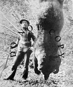 ANTIQUE PRE 1900 8X10 REPRO PHOTOGRAPH PRINT BEAR HUNTING PHOTO WINCHESTER RIFLE - Picture 1 of 1