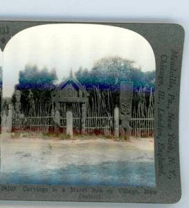 Tallaciones en Maorí Pah Village Nueva Zelanda Stereoview - Imagen 1 de 4