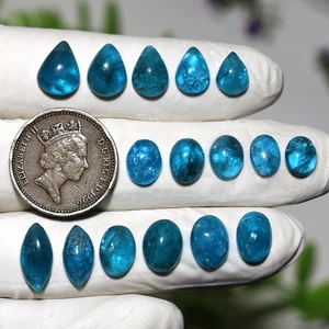 Pulso Azul Océano ~ 16 Piezas Natural Neón Apatita 8mm-14mm Cabujón Piedras Preciosas Paquete - Imagen 1 de 11