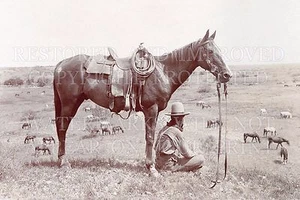 8x10 Fotodruck: Cowboy Pferd Wrangler Ranch Herde Bonham Texas TX 1910 E. Smith - Bild 1 von 1
