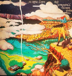 The Marshall Tucker Band A New Life LP Vinile 33 Giri Ristampa USA 1982 - Foto 1 di 6
