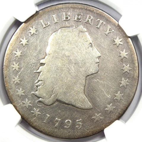 1795 Flowing Hair Silver Dollar $1 - Certified NGC VG Detail - Rare Coin! Cover