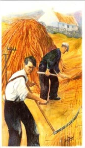 5 X 8¼ Art Postcard THE HAYMAKERS Artist JOHN DIXON  1977 Thompson Price Limited - Picture 1 of 2