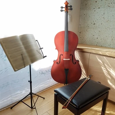 New 4/4 Professional Matt Wood Color Cello +Bag+Bow+Rosin+Bridge for Beginner - Image 1 of 4