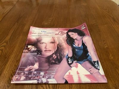 2002 WWF World Wrestling Federation 12 месяцев календарь рок гробовщик Чайна HHH - Изображение 1 из 4