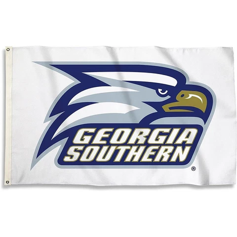 Georgia Southern Eagles 3' x 5' Flag Cover