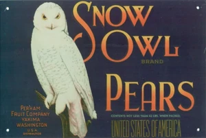 AD-VINTAGE STYLE METAL TIN ART REPRODUCTION HANGING SIGN-SNOW OWL PEARS - Picture 1 of 2