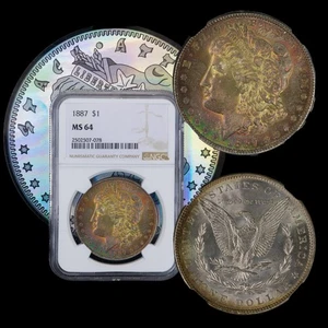 1887 Morgan Silver Dollar NGC MS 64 💸 NEON Money Color Toned 💸 - Picture 1 of 5