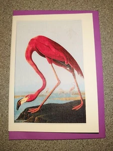 Audubon Vögel Karten Flamingo klassische Illustration Notiz 5er-Pack A6 & Envs leer - Bild 1 von 4