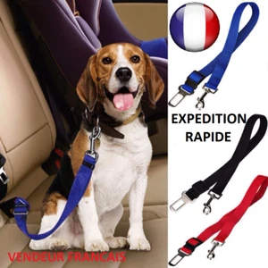 Ceinture de sécurité pour voiture pour chien ou chat/ animaux - Imagen 1 de 7