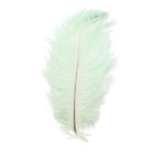 Nail Art Feather Display Stand Feather Decoration Colorful Photography Props S1