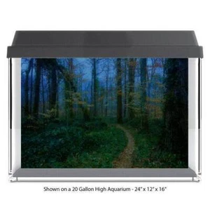 Dark Forest Pathway Trai Tank Glass Backdrop Aquarium Background #024 - Picture 1 of 6