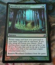 Foil MTG Woodland Guidance English Magic the Gathering Lorwyn 2007