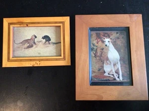2 gerahmte Bilder 4x6 8 x 10 Gepard Affe Whippet Hund - Bild 1 von 6