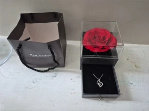 Red Eternal Rose Gift Box with Necklace - Picture 1 of 12