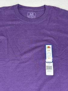 NWT Fruit of the Loom Men's T-Shirt Purple Medium Short Sleeve M - Picture 1 of 6