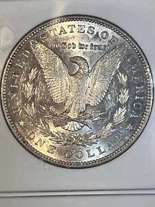 1884 s Morgan Dollar Extremely rare, OLD NGC HOLDER baggy no wear - Picture 1 of 10