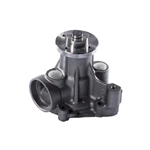 Bomba de agua para Hürlimann XM110-125 High-Level-DCR COM3, XT 100 110 V-drive COM3 - Imagen 1 de 2