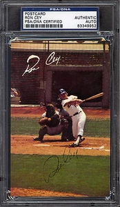 1970'S Team Issued Post Card BASEBALL RON CEY L A DODGERS SIGNED AUTO PSA/DNA - Picture 1 of 2
