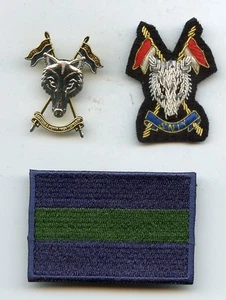 Set of 3 SNIY Scots & Irish North Yeomanry Badges officers cloth cap & TRF - Foto 1 di 2