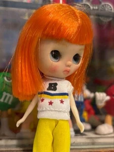 Custom Petitko Petit Blythe Pon Pumpty Pompompurity Petite Blythe Authentic - Picture 1 of 11