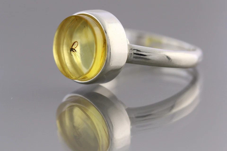 Anillo de plata ajustable ámbar báltico genuino GNAT insecto fósil 3,4 g 181211-3 Foto 1 de 3