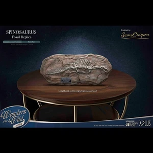 STAR ACE Toys Spinosaurus Fossil Replica Limited Collectible Dinosaur Fossil New - Picture 1 of 9