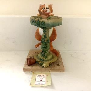 Comic & Curious Cats - Bathing Beauty A3090 Linda Jane Smith Figurine Ornaments - Picture 1 of 11