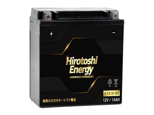 HTX16-BS YTX20CH-BS 12V 14Ah GEL Battery For 2004-2012 Kawasaki Vulcan VN2000 - Picture 1 of 3