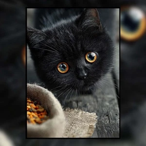 Schwarze Katze Kunstdruck - gelbe Augen Gothic Halloween Wanddeko 5x7 - Bild 1 von 3