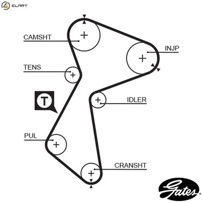 TIMING BELT 5485 FOR RENAULT SCENIC/MPV TRAFIC/Bus/Van MEGANE/Hatchback/Scenic - Image 1 of 4