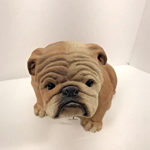 English Bulldog Sandra Brue 80's Sandicast Statue Dog Lover Collector Heavy - Picture 1 of 8