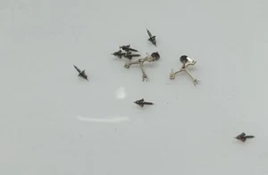 Omega nos staff  cal 552 part - Picture 1 of 1