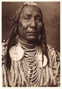 Red Wing Apsaroke Crow Indian Vintage Continental Postcard Unposted - Bild 1 von 2