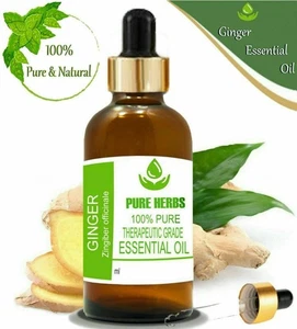 Pure Herbs Ginger 100% Pure & Natural Zingiber officinale Essential Oil - Picture 1 of 11