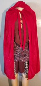 Disney Hocus Pocus Mary Witch Costume Short Dress W/Extra Red Cape Size L - Picture 1 of 10