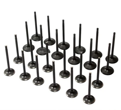 Fits 03-14 Infiniti G35 FX35 I35 M35 Nissan VQ35DE 24 x Intake Exhaust Valves Foto 1 de 4