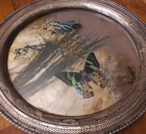 Frank Whiting BUTTERFLY TRAY Sterling Silver Rim Wildflower 10" Vintage Glass - Picture 1 of 12