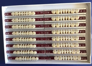 Dentsply New Hue Zahnarzt-Zentallabor-Zahnersatz Zähne Porzellan 27M UL 73/B4 - Bild 1 von 1