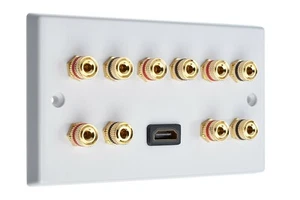 White 5.0-1H Speaker Wall Plate + 1 HDMI. 10 Gold Binding Posts Non-solder - Picture 1 of 3