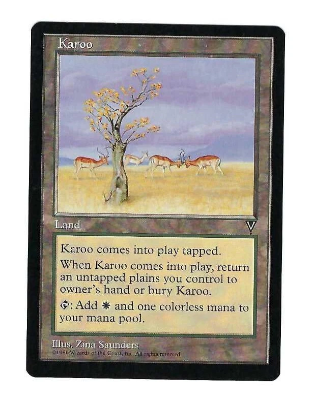 Karoo - Vision - Magic The Gathering NM/M (Never Played) - Image 1 of 1