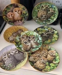 7 x Danbury Mint owl plate by Robert Hersey - Picture 1 of 22
